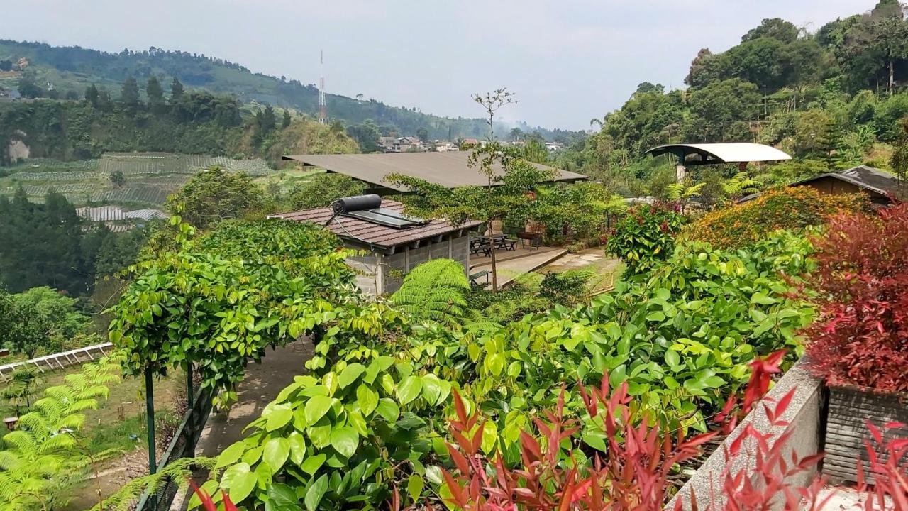 Vila Kolmas 59 Bongkor 1 Exterior foto